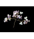 Costume jewellery ornament