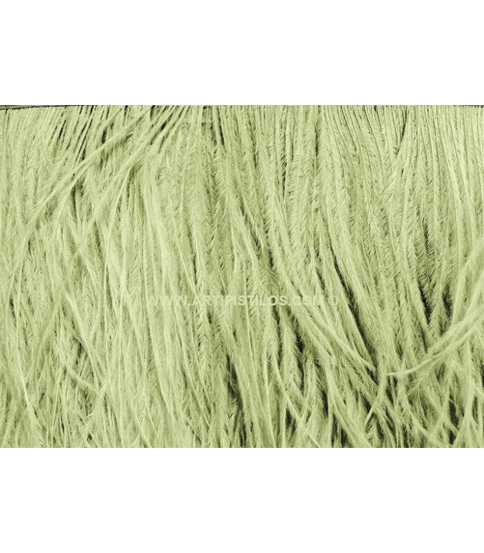 OSTRICH FEATHERS FRINGE - 2 PLY. FIRST QUALITY - 10 CMS.