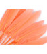 BOLSA 20 PLUMAS DE PATO 9-14 CMS.