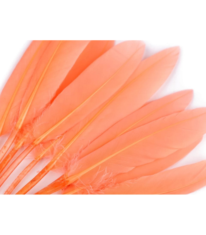 BOLSA 20 PLUMAS DE PATO 9-14 CMS.