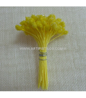 GRANULATED STAMEN YELLOW