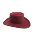 SOMBRERO DE FIELTRO IMPERMEABLE UNISEX "GAMBLER"
