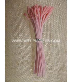 PISTILO ESTAMBRE ROSA / ANTERA ROSA