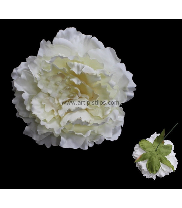 CABEZA DE PEONIA 18 X 6 CMS.