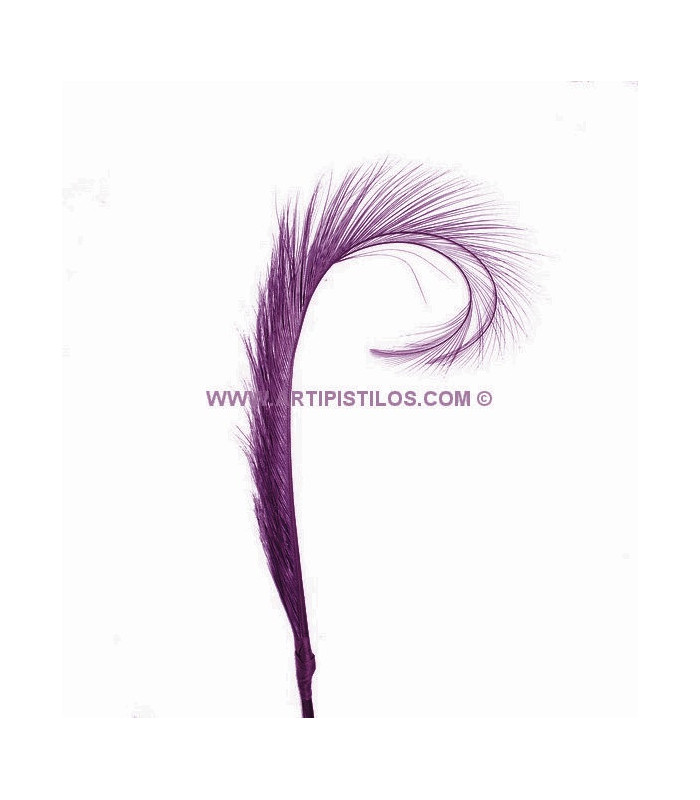 PACK DE 2 PLUMAS DE FAISÁN QUEMADO
