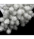 Bouquet of 80 pistils with crystal spheres