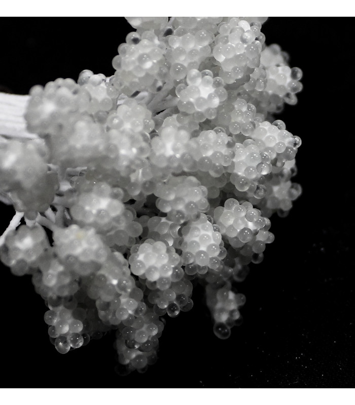 Bouquet of 80 pistils with crystal spheres