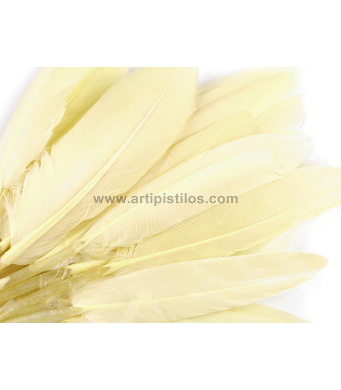 BOLSA 20 PLUMAS DE PATO 9-14 CMS.