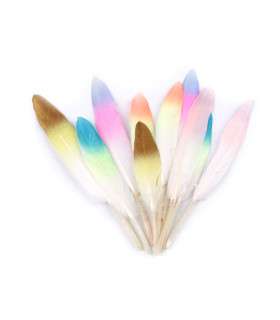 Plumas Degradadas Con Purpurina, Largo 10-14 Cm