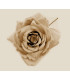 FABRIC ROSE "TRIANA"