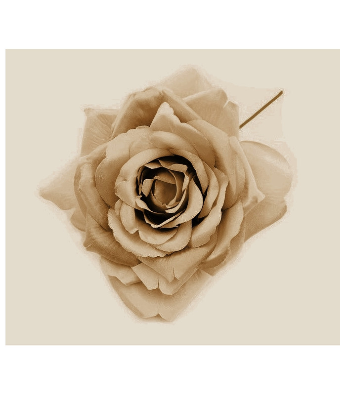 FABRIC ROSE "TRIANA"