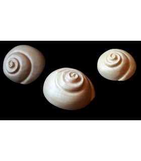 FASCINATOR HATBLOCK / 023