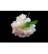 POMO HORTENSIAS TACTO NATURAL "NATURE"