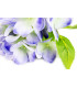 NATURAL TOUCH HYDRANGEA BOUQUET "NATURE"