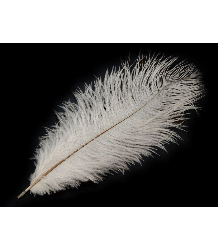 Ostrich Feather length approx. 20-25 cm