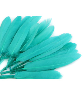 Bolsa 20 Penas De Pato Turquesa 9 - 14 Cms. Bolsa De 20 Unidades. - plumas para