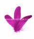 PLUMA DE OCA RASPADA 15 CMS.