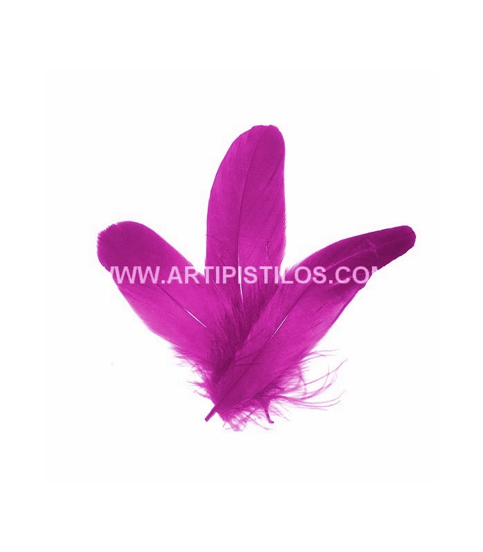 PLUMA DE OCA RASPADA 15 CMS.