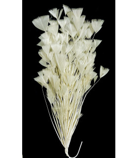 Montaje De Plumas De Gallo Marfil - tocados para