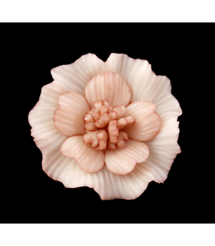 FLOR DE PORCELANA FRÍA 35mm