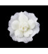 COLD PORCELAIN FLOWER 35mm