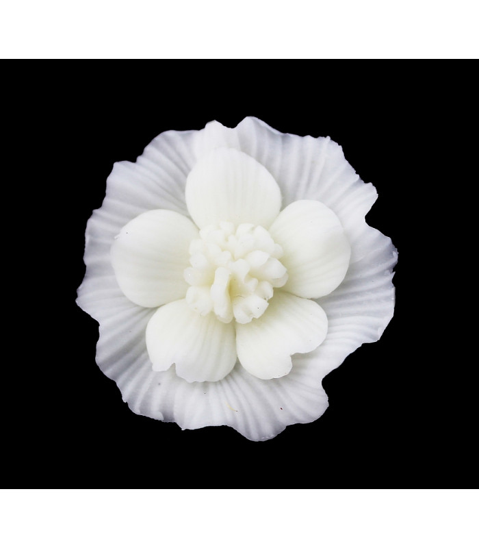 FLOR DE PORCELANA FRÍA 35mm