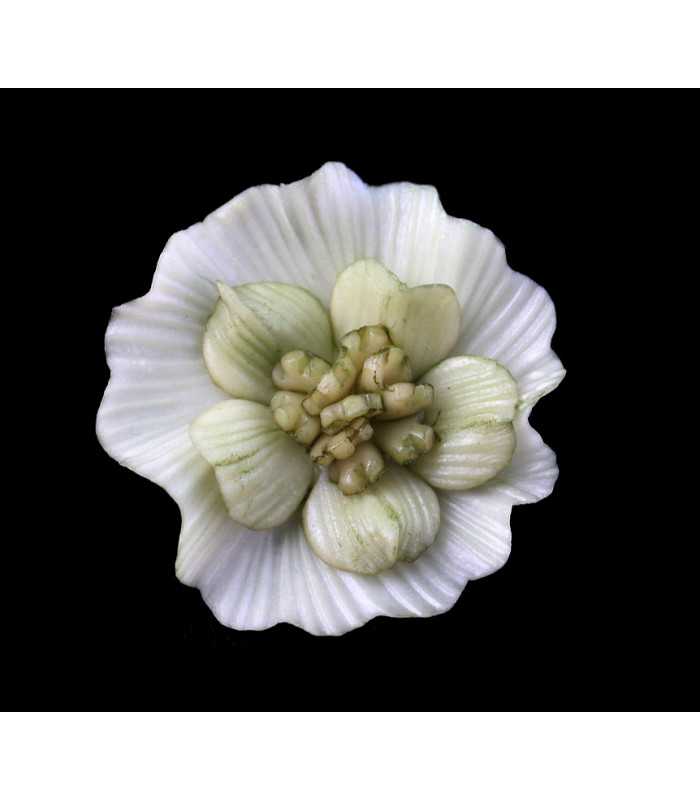 FLOR DE PORCELANA FRÍA 35mm