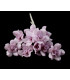 COLD PORCELAIN FLOWER 18mm
