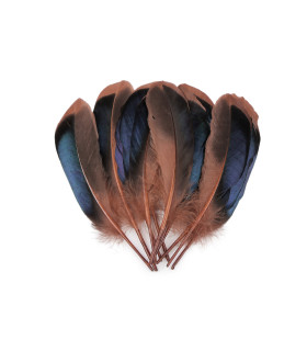 Duck Feathers 13-15 cm X 20 pcs