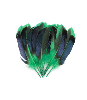 Duck feathers 13-15 cm, bag of 20