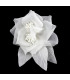 Flor de Organza "Rotterdam"