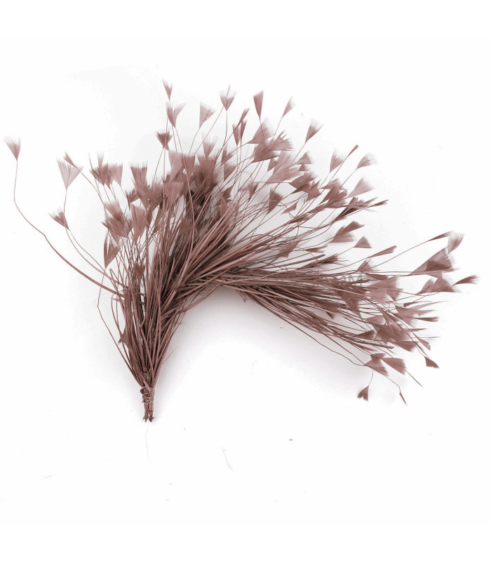 COCK FEATHER MOUNT