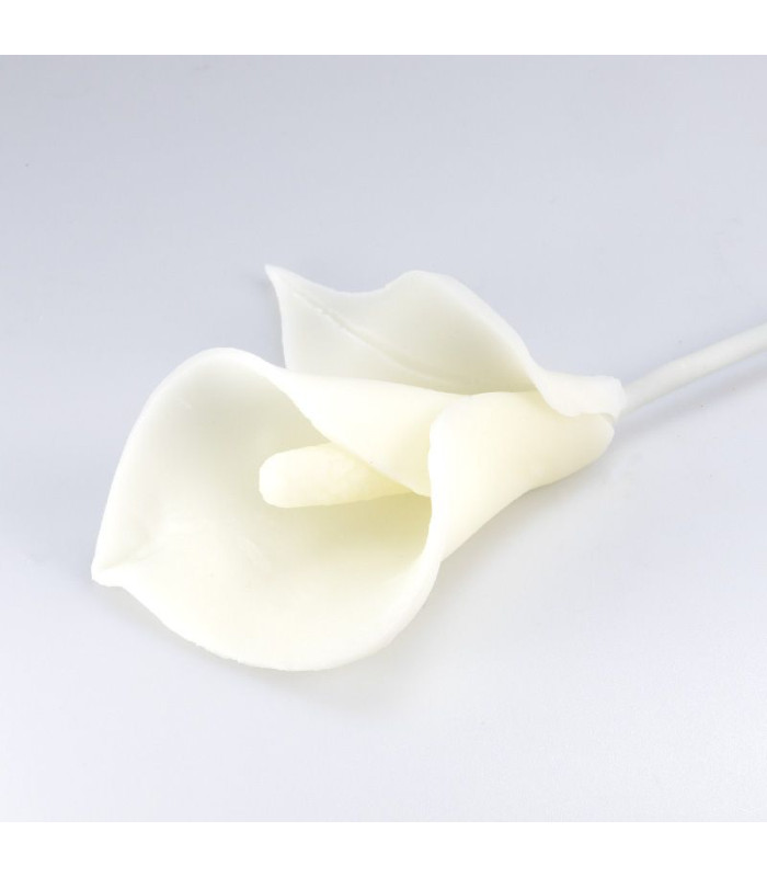Porcelana rusa blanca 500 g (seca al aire)