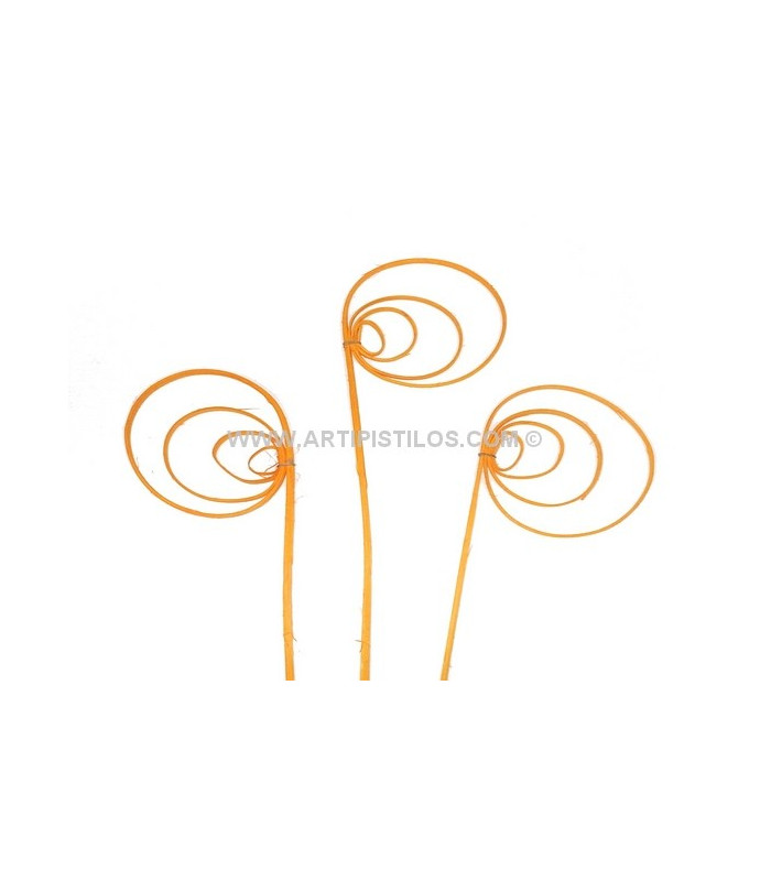 CANE CIRCLE