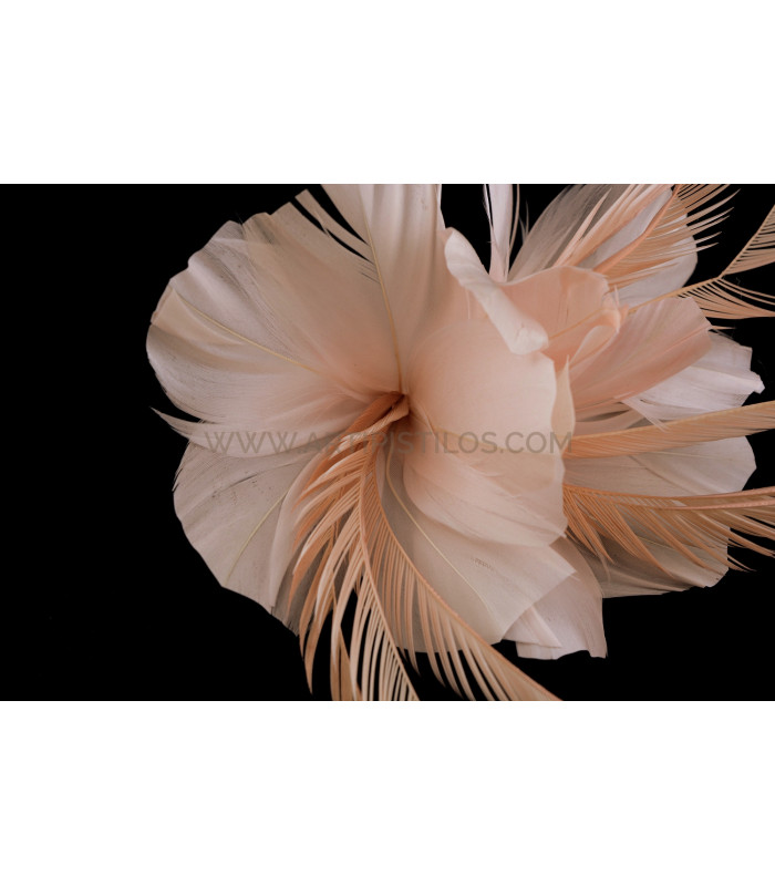 FEATHER MOUNT OF DUCK AND GOOSE BIOT