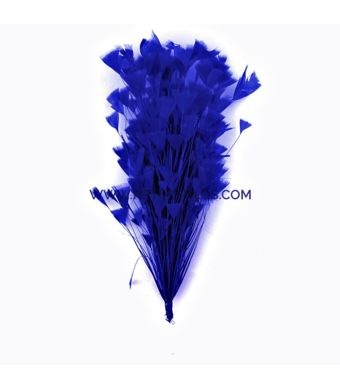 COCK FEATHER MOUNT