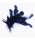 FEATHER MOUNT OF DUCK AND ROOSTER