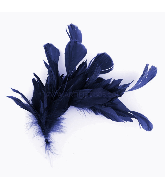 FEATHER MOUNT OF DUCK AND ROOSTER