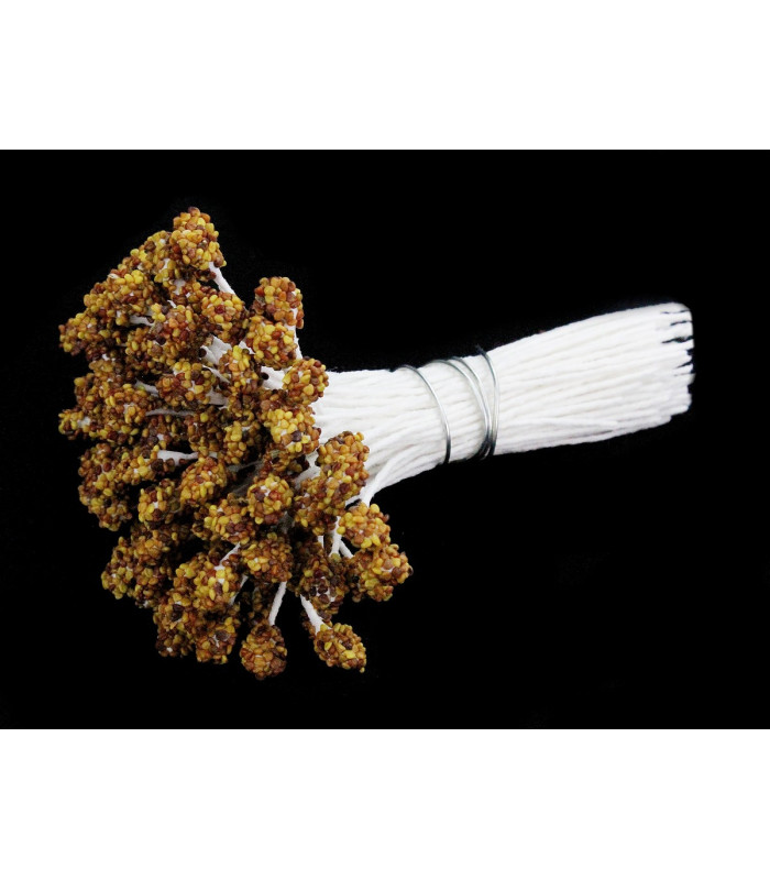 CLOVER SEED 100% NATURAL PISTIL
