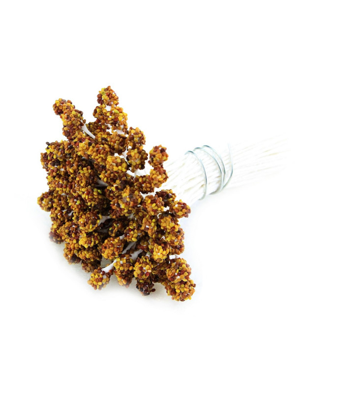 CLOVER SEED 100% NATURAL PISTIL