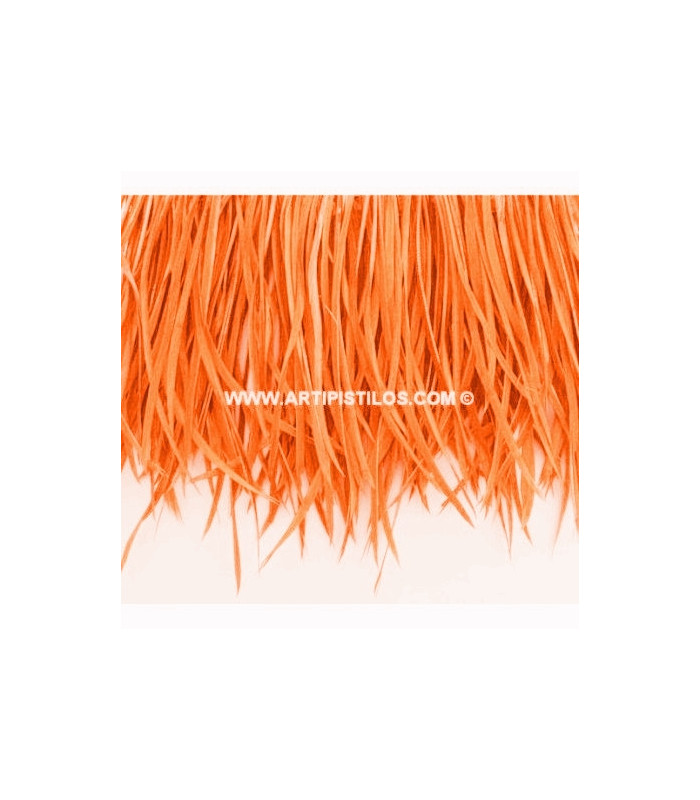 GOOSE BIOT FEATHER FIRST QUALITY -  10 CMS.