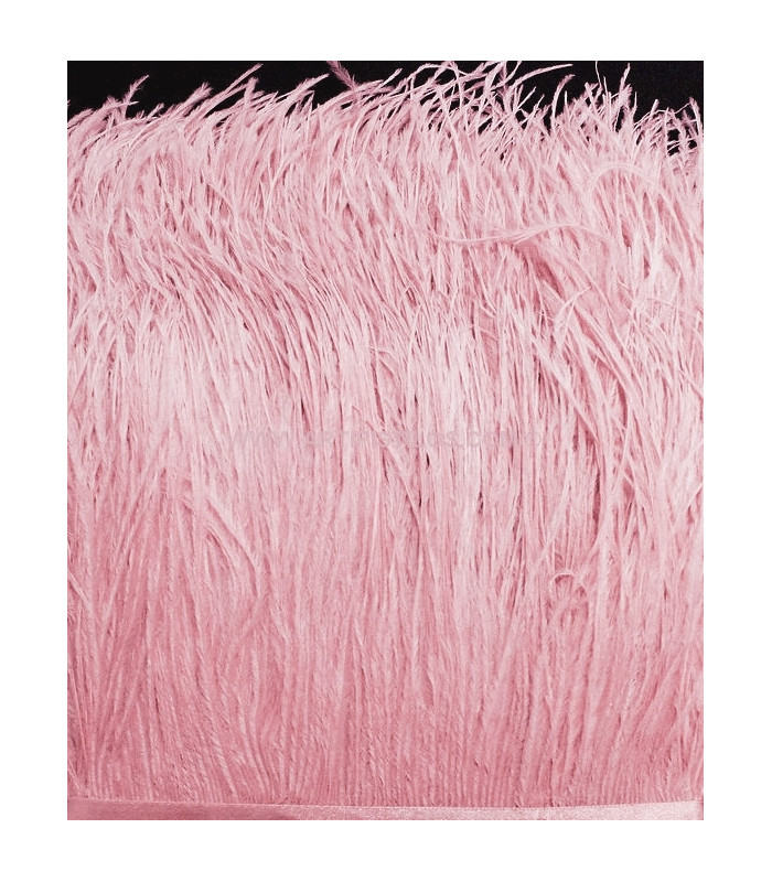 FRINGE OSTRICH FEATHERS 10 CMS.