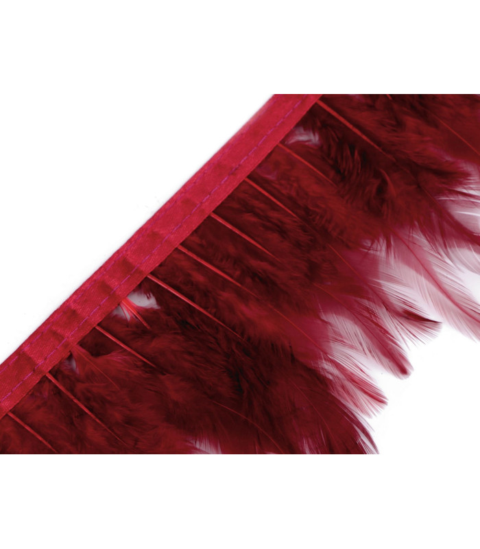 TRIM ROOSTER FEATHERS 25 CMS.