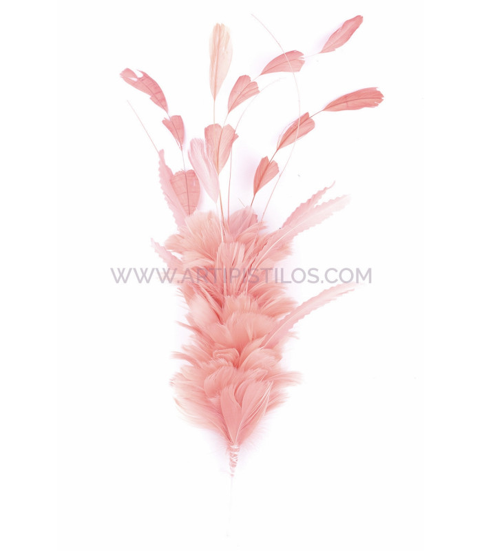 MONTAJE DE PLUMAS GALLO, ÁNADE Y OCA