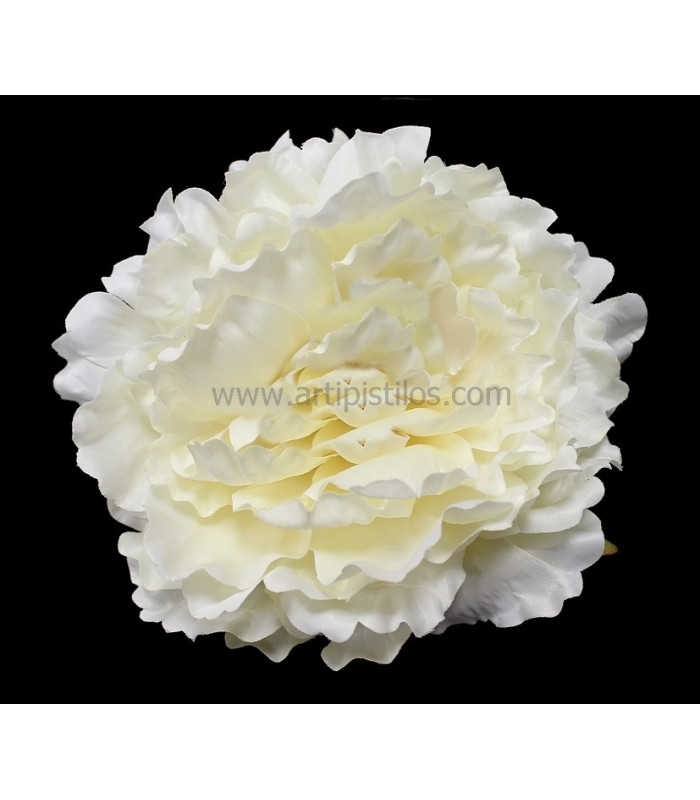 PEONY HEAD 18 X 6 CMS.