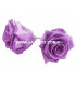 PRESERVED ROSE 6 CMS.