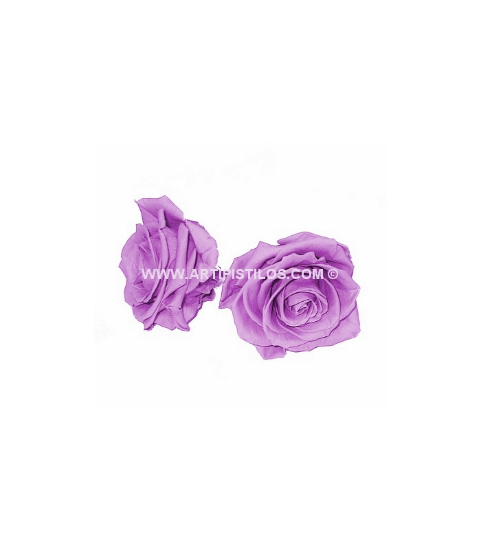 PRESERVED BIG ROSE 9 CMS.