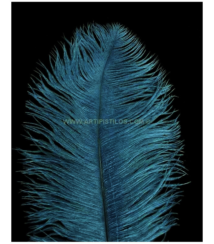 OSTRICH FEATHER FIRST QUALITY 50-55 CMS.