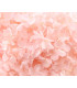 Preserved Hydrangea - Mini flower