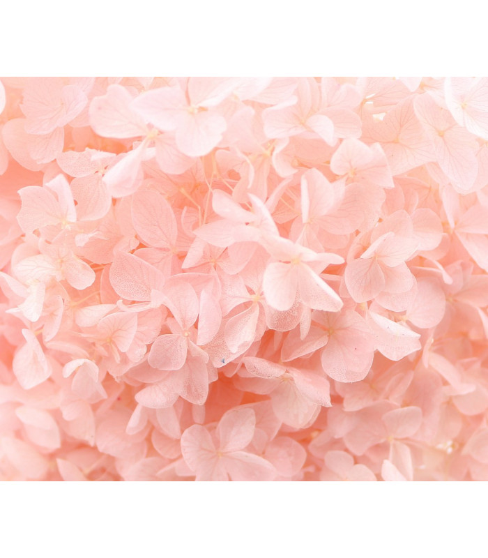 Preserved Hydrangea - Mini flower